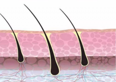 大連巴林左旗狐臭治療費(fèi)用你了解嗎